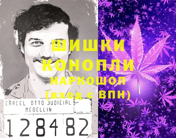 крисы Алексин