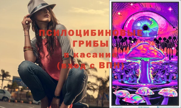 крисы Алексин