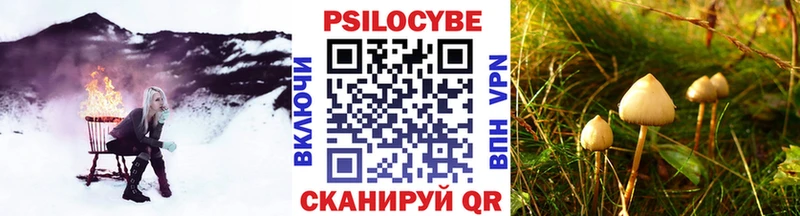 Галлюциногенные грибы прущие грибы  где купить наркоту  Сухой Лог 