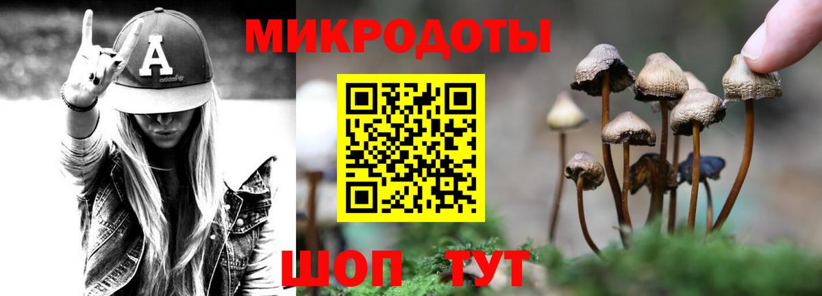 Псилоцибиновые грибы Magic Shrooms Сухой Лог